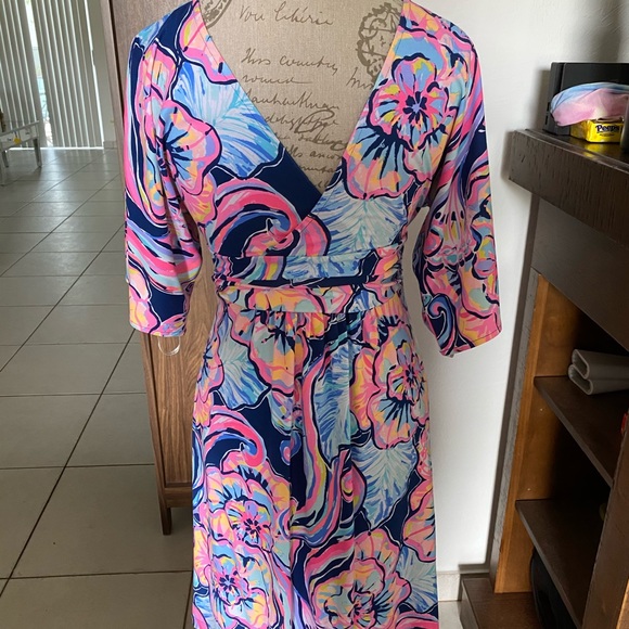 Lilly Pulitzer Dress - Picture 2 of 3
